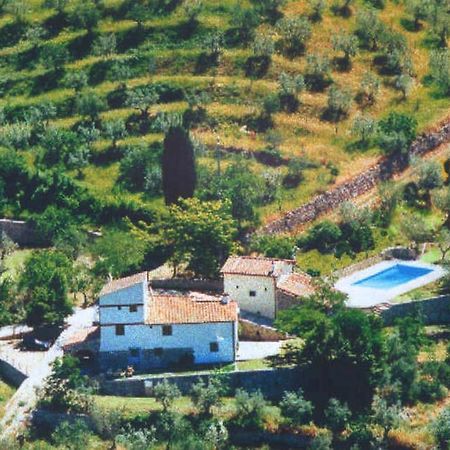 Agriturismo Montereggi Fiesole Phòng bức ảnh